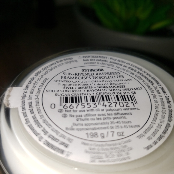 B&BW sun ripened raspberry single wick - Picture 3 of 3